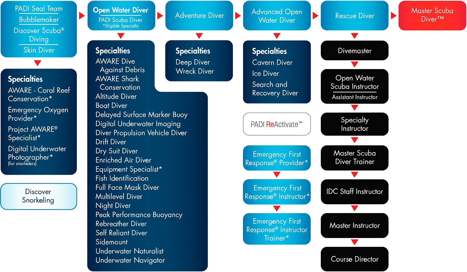 padi-course-chart-1