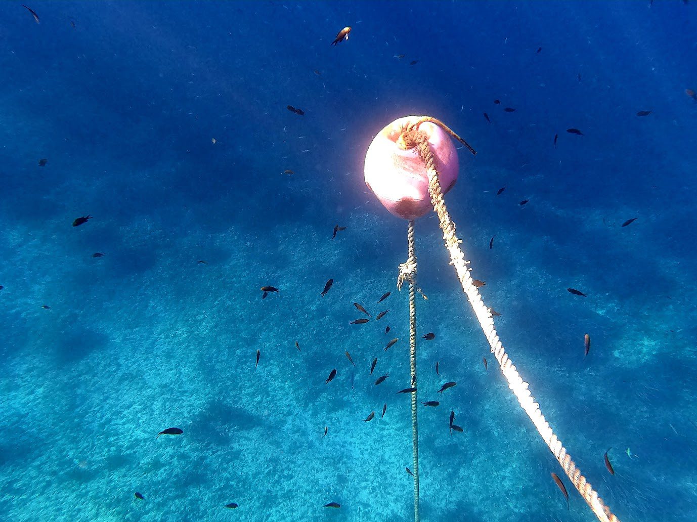 GOPR0844_1660996682523