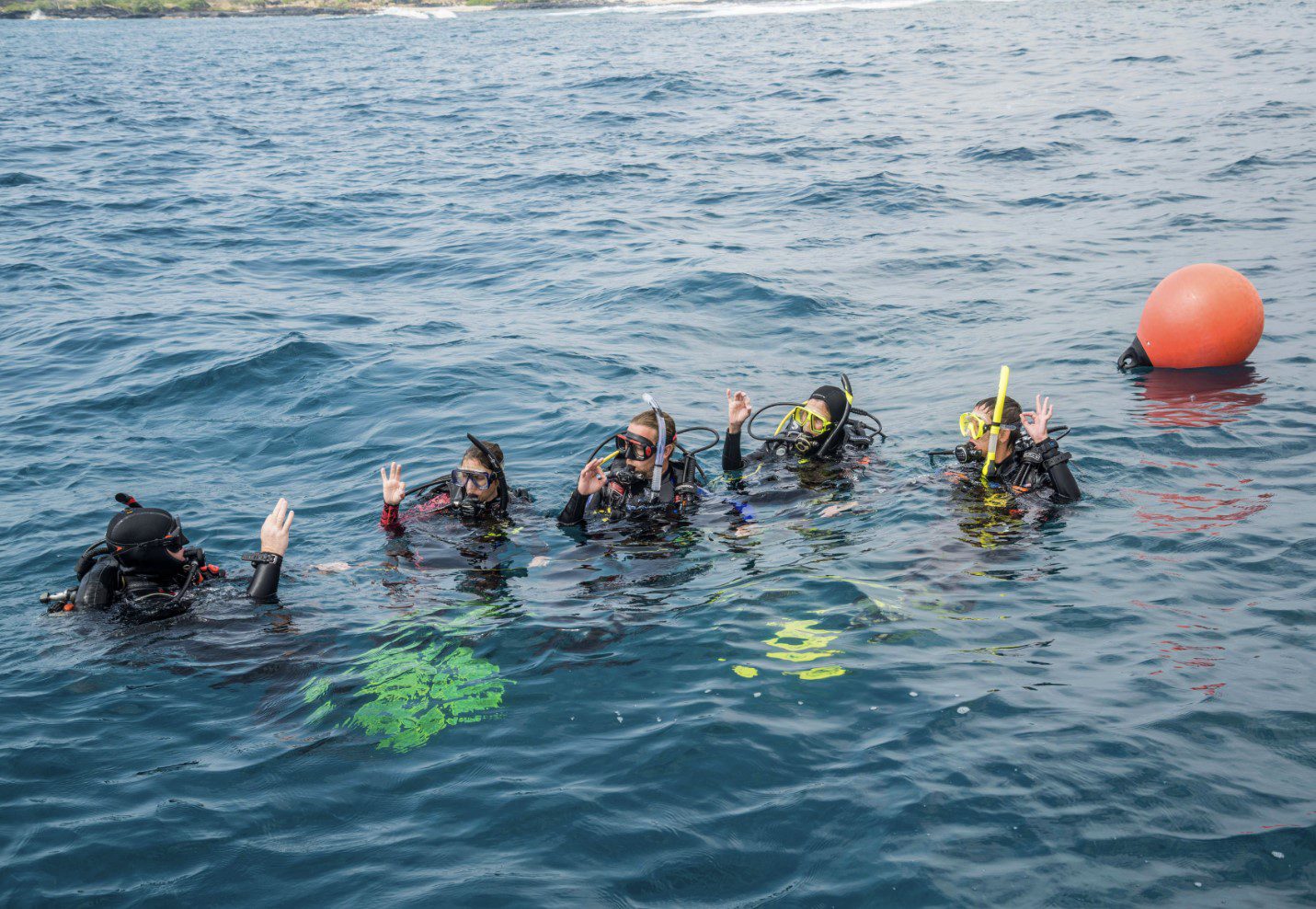 assistent_instructor